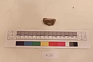 Stucco Fragment by Unknown Artist