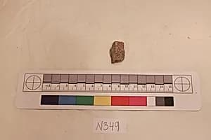 Stucco Fragment by Unknown Artist