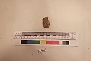 Stucco Fragment by Unknown Artist