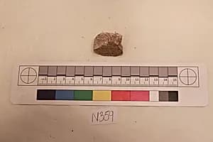 Stucco Fragment by Unknown Artist