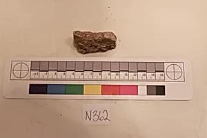 Stucco Fragment by Unknown Artist