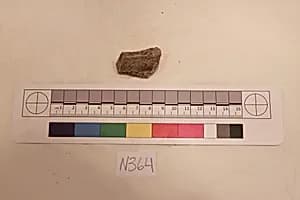 Stucco Fragment by Unknown Artist
