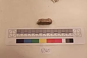 Stucco Fragment by Unknown Artist