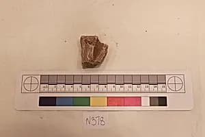 Stucco Fragment by Unknown Artist