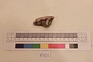 Stucco Fragment by Unknown Artist
