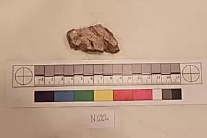 Stucco Fragment by Unknown Artist