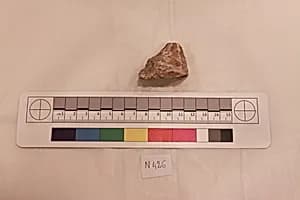 Stucco Fragment by Unknown Artist