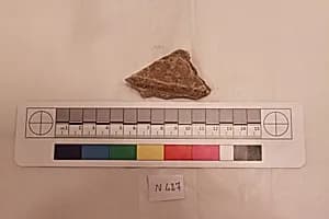 Stucco Fragment by Unknown Artist