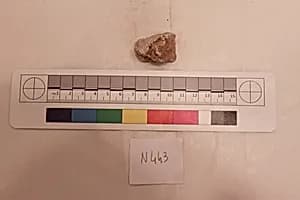 Stucco Fragment by Unknown Artist