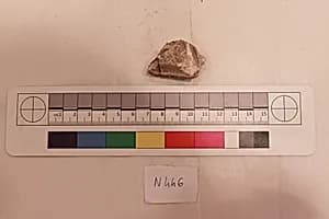 Stucco Fragment by Unknown Artist