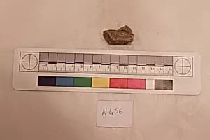 Stucco Fragment by Unknown Artist