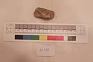 Stucco Fragment by Unknown Artist