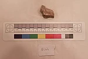 Stucco Fragment by Unknown Artist