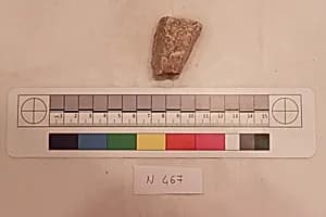 Stucco Fragment by Unknown Artist