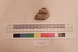 Stucco Fragment by Unknown Artist