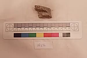 Stucco Fragment by Unknown Artist