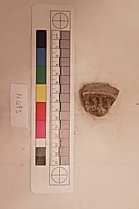Stucco Fragment by Unknown Artist