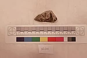 Stucco Fragment by Unknown Artist
