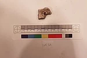 Stucco Fragment by Unknown Artist
