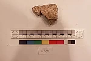 Stucco Fragment by Unknown Artist