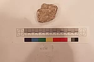 Stucco Fragment by Unknown Artist