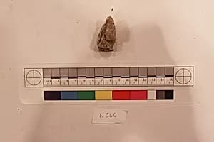 Stucco Fragment by Unknown Artist