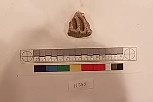 Stucco Fragment by Unknown Artist