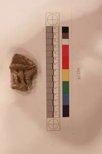Stucco Fragment by Unknown Artist
