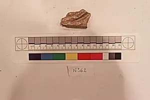 Stucco Fragment by Unknown Artist