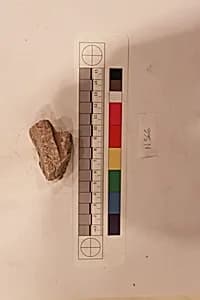 Stucco Fragment by Unknown Artist
