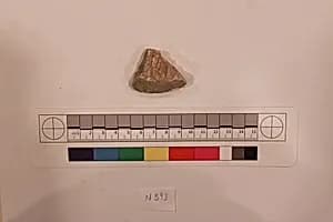 Stucco Fragment by Unknown Artist