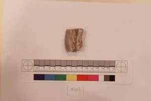 Stucco Fragment by Unknown Artist