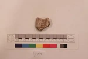 Stucco Fragment by Unknown Artist