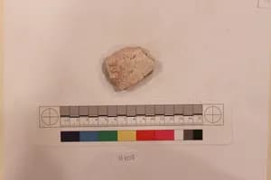 Stucco Fragment by Unknown Artist