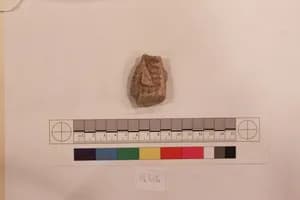 Stucco Fragment by Unknown Artist