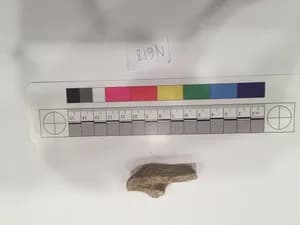 Stucco Fragment by Unknown Artist