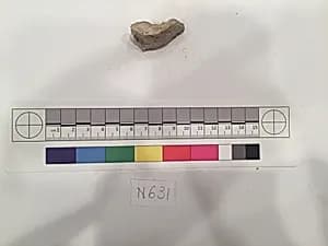 Stucco Fragment by Unknown Artist