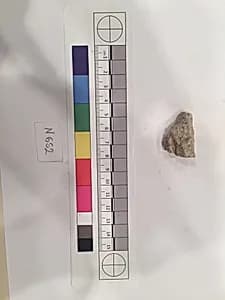 Stucco Fragment by Unknown Artist