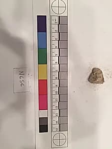 Stucco Fragment by Unknown Artist