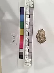Stucco Fragment by Unknown Artist