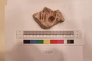 Stucco Fragment by Unknown Artist