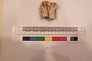 Stucco Fragment by Unknown Artist