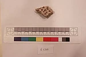 Stucco Fragment by Unknown Artist