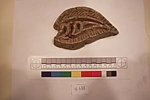 Stucco Fragment by Unknown Artist