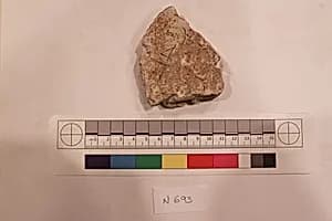 Stucco Fragment by Unknown Artist