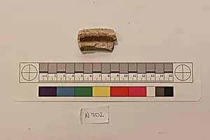 Stucco Fragment by Unknown Artist
