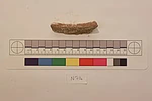 Stucco Fragment by Unknown Artist