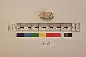 Stucco Fragment by Unknown Artist