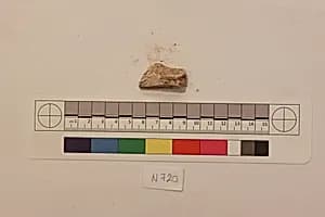 Stucco Fragment by Unknown Artist