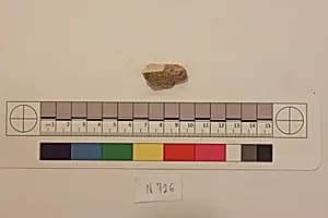 Stucco Fragment by Unknown Artist